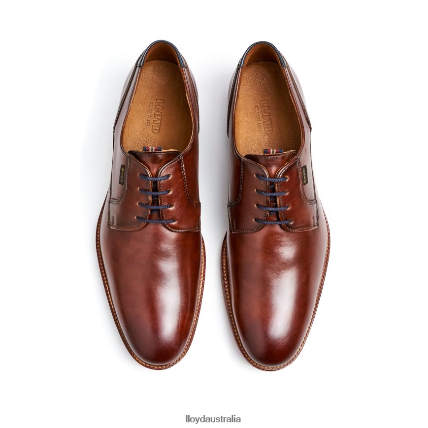 LLOYD Men VICKERS brown Shoes H6PTLF122