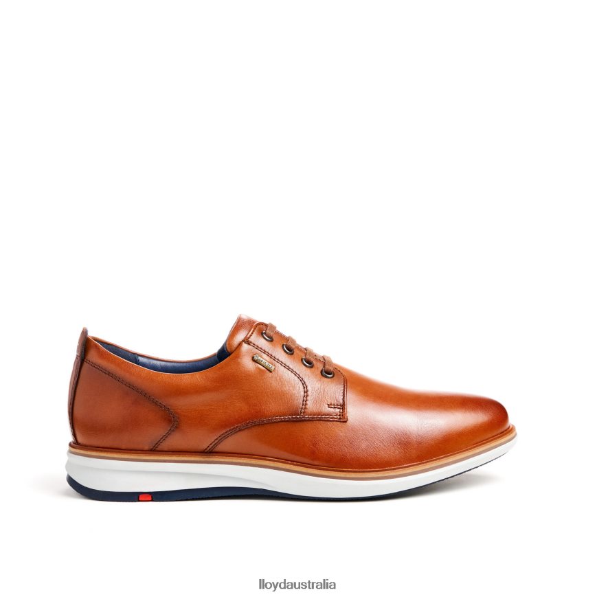 LLOYD Men VIN brown Shoes H6PTLF139