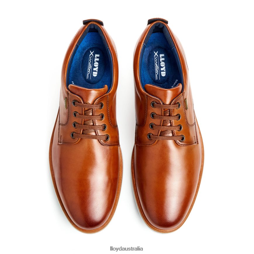 LLOYD Men VIN brown Shoes H6PTLF139