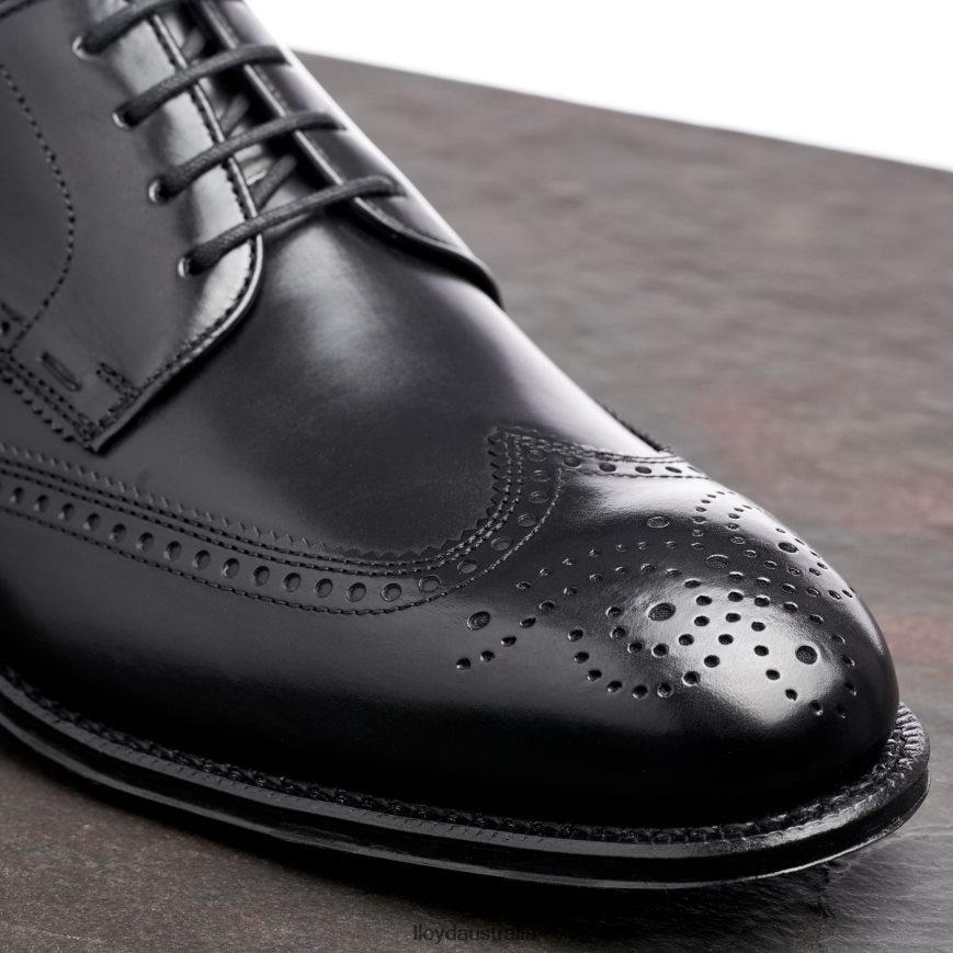 LLOYD Men WARWICK black Shoes H6PTLF18