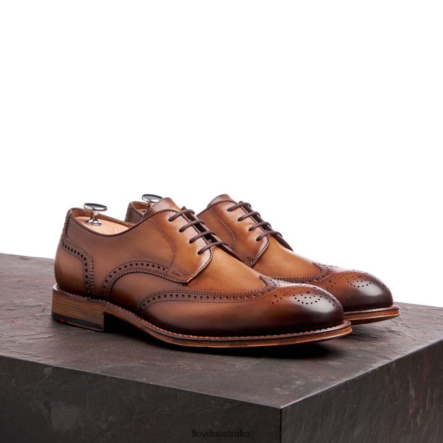 LLOYD Men WARWICK brown Shoes H6PTLF74
