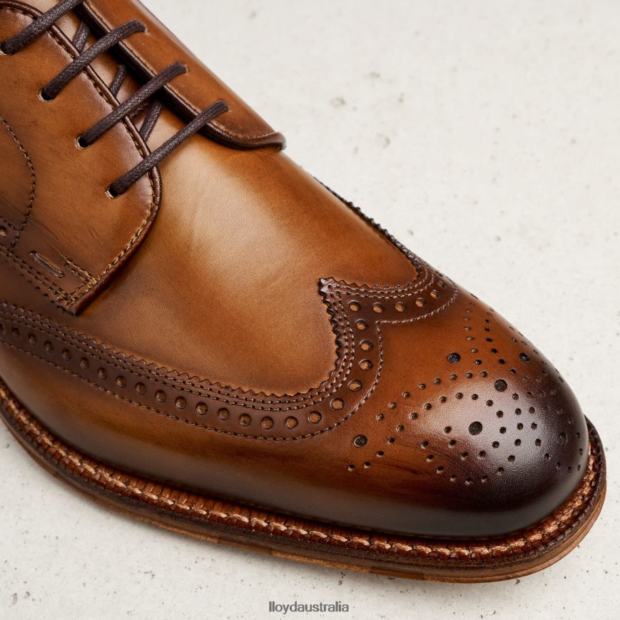 LLOYD Men WARWICK brown Shoes H6PTLF74