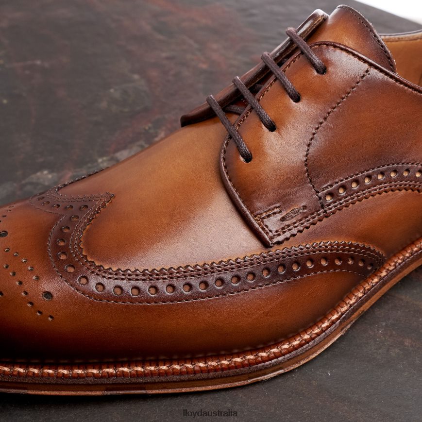LLOYD Men WARWICK brown Shoes H6PTLF74