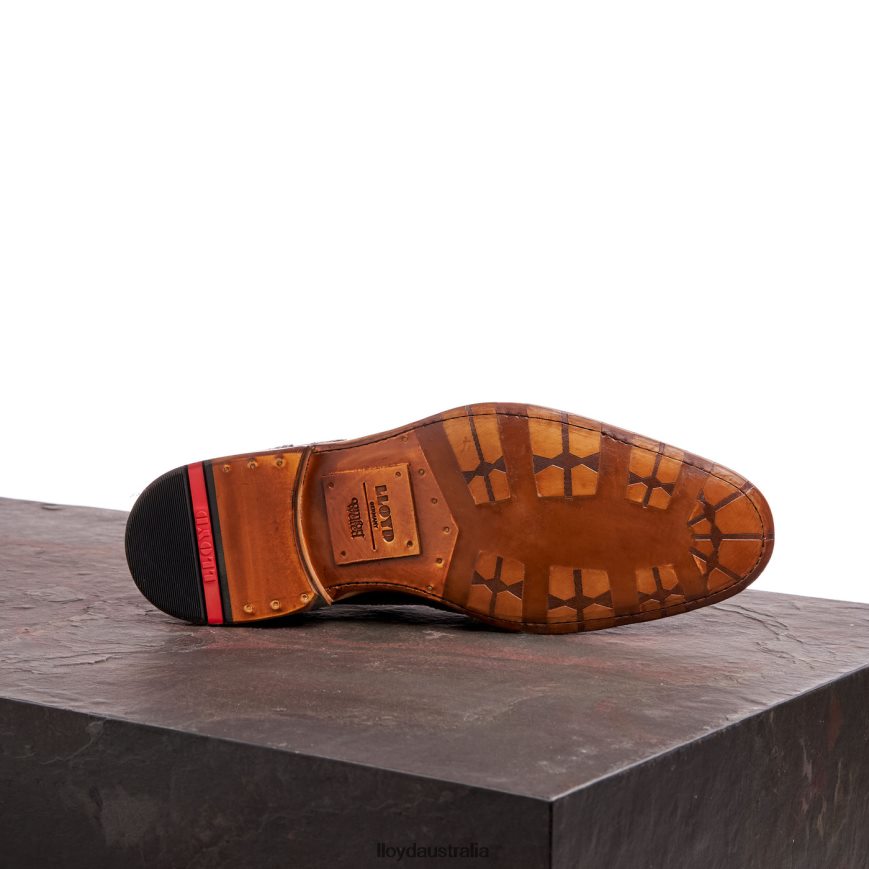 LLOYD Men WARWICK brown Shoes H6PTLF74