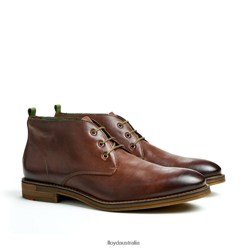LLOYD Men DARTMOOR brown Shoes H6PTLF44