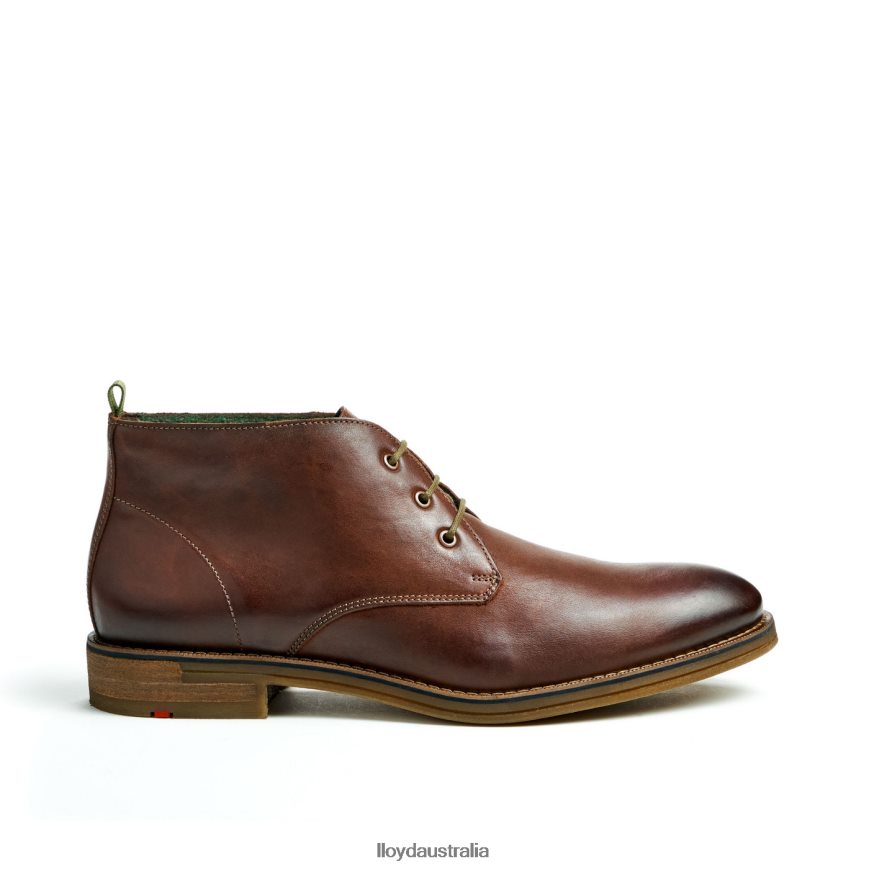 LLOYD Men DARTMOOR brown Shoes H6PTLF44