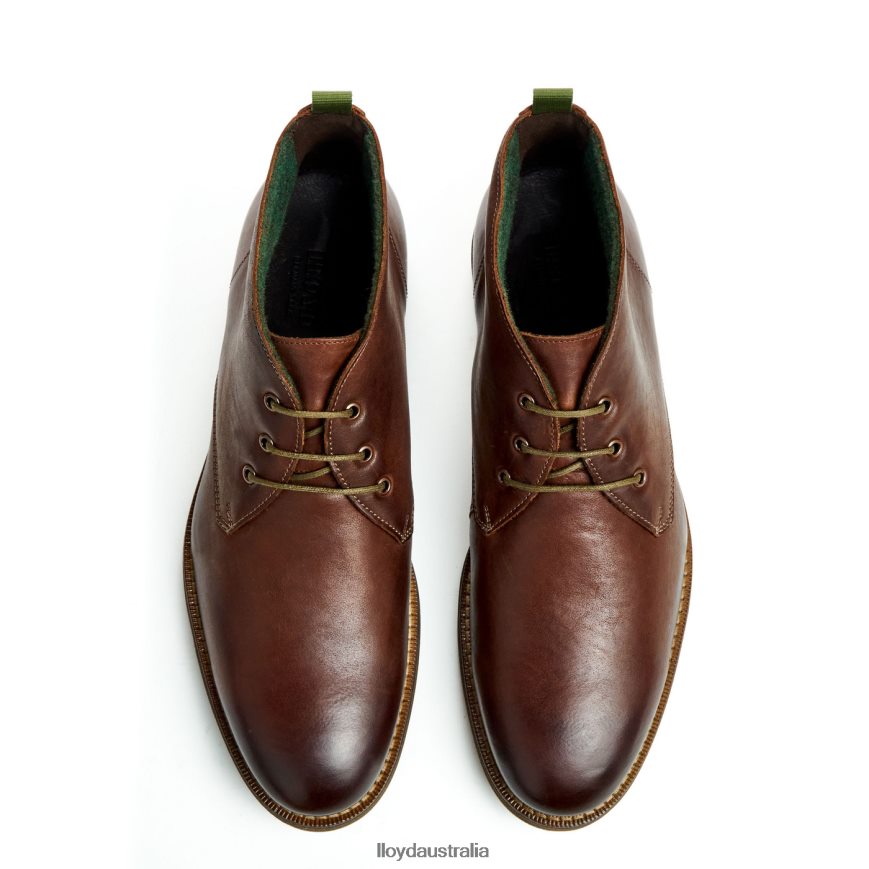 LLOYD Men DARTMOOR brown Shoes H6PTLF44