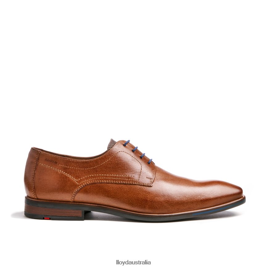LLOYD Men DON brown Shoes H6PTLF109
