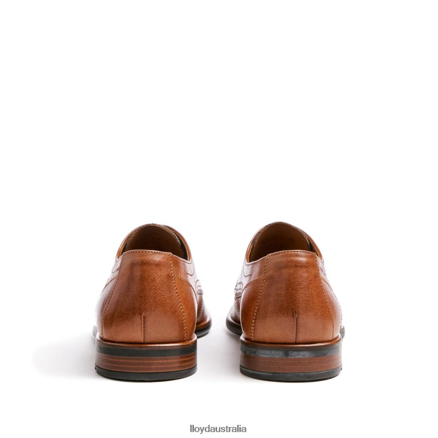 LLOYD Men DON brown Shoes H6PTLF109