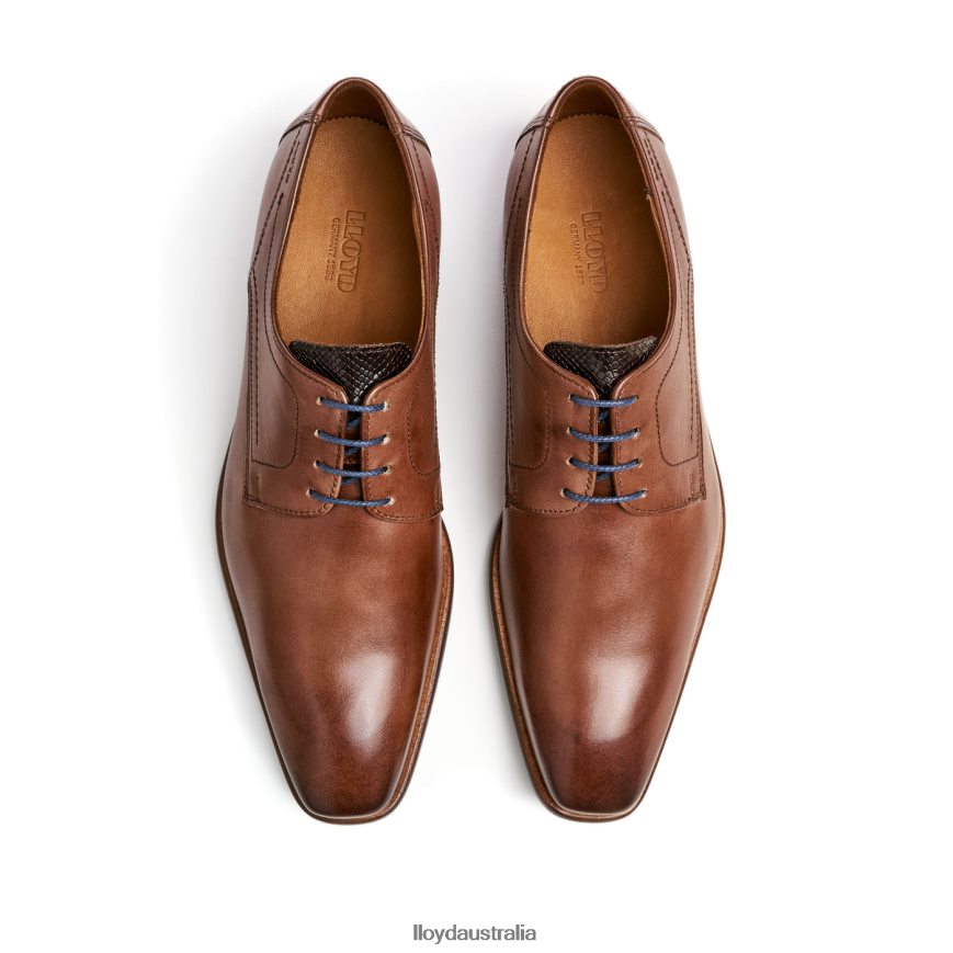 LLOYD Men DON brown Shoes H6PTLF112