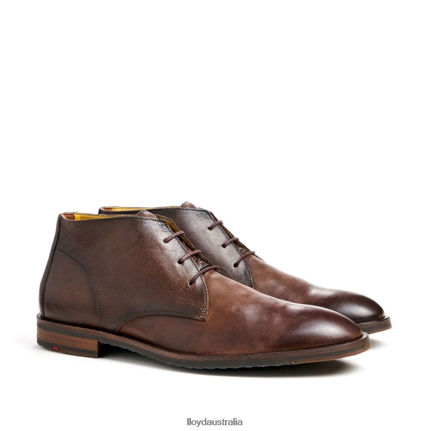LLOYD Men DUKE brown Shoes H6PTLF43
