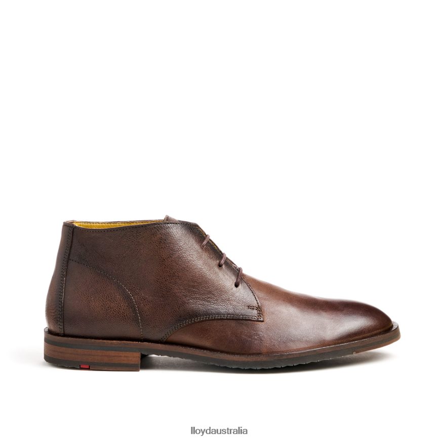 LLOYD Men DUKE brown Shoes H6PTLF43