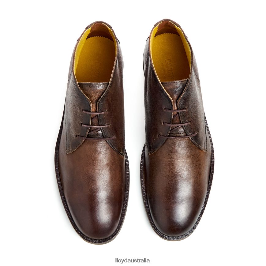 LLOYD Men DUKE brown Shoes H6PTLF43
