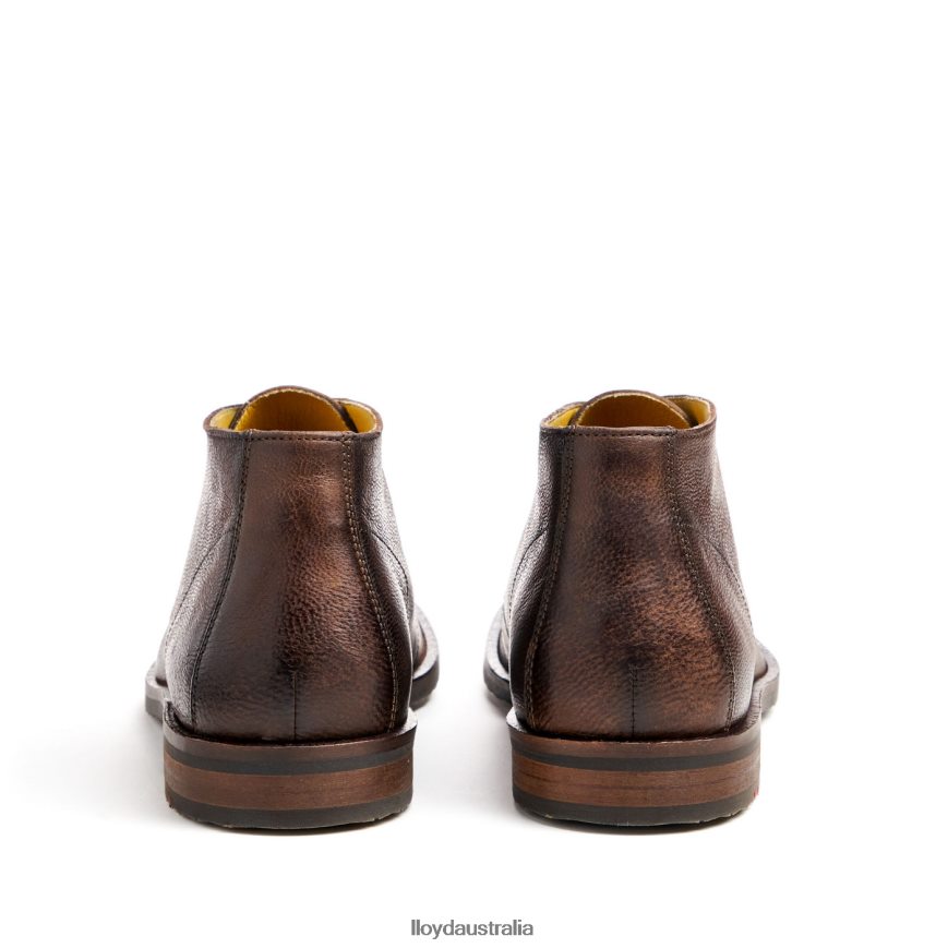 LLOYD Men DUKE brown Shoes H6PTLF43