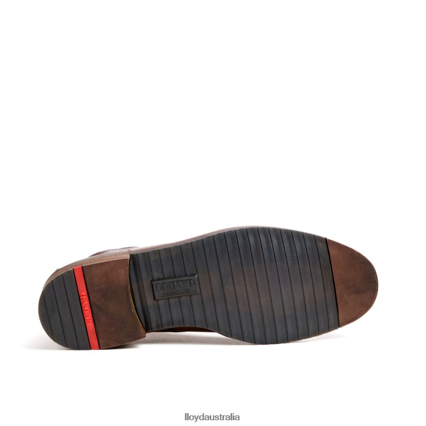 LLOYD Men DUKE brown Shoes H6PTLF43