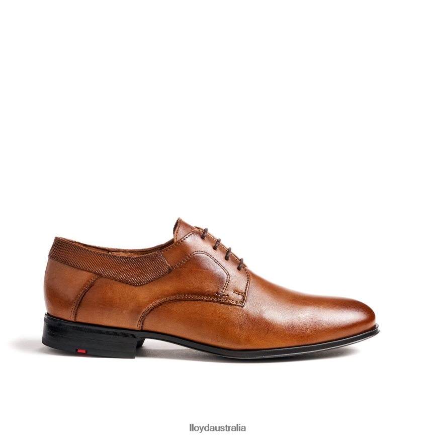 LLOYD Men LADOR brown Shoes H6PTLF91