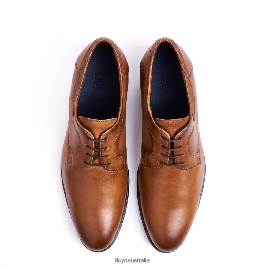 LLOYD Men LADOR brown Shoes H6PTLF91