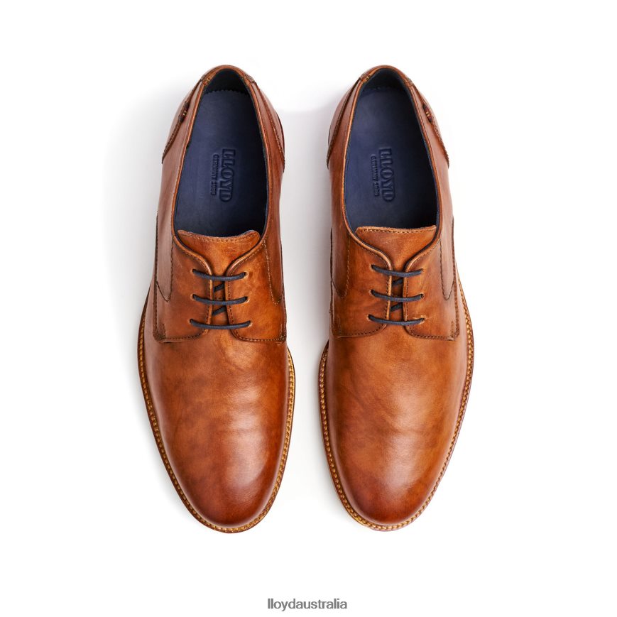 LLOYD Men LANGSTON brown Shoes H6PTLF27