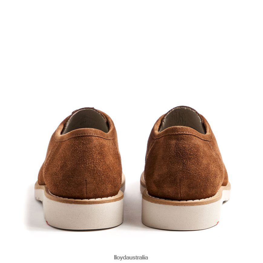 LLOYD Men LEVI brown Shoes H6PTLF210
