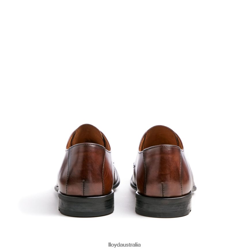 LLOYD Men NIK brown Shoes H6PTLF127