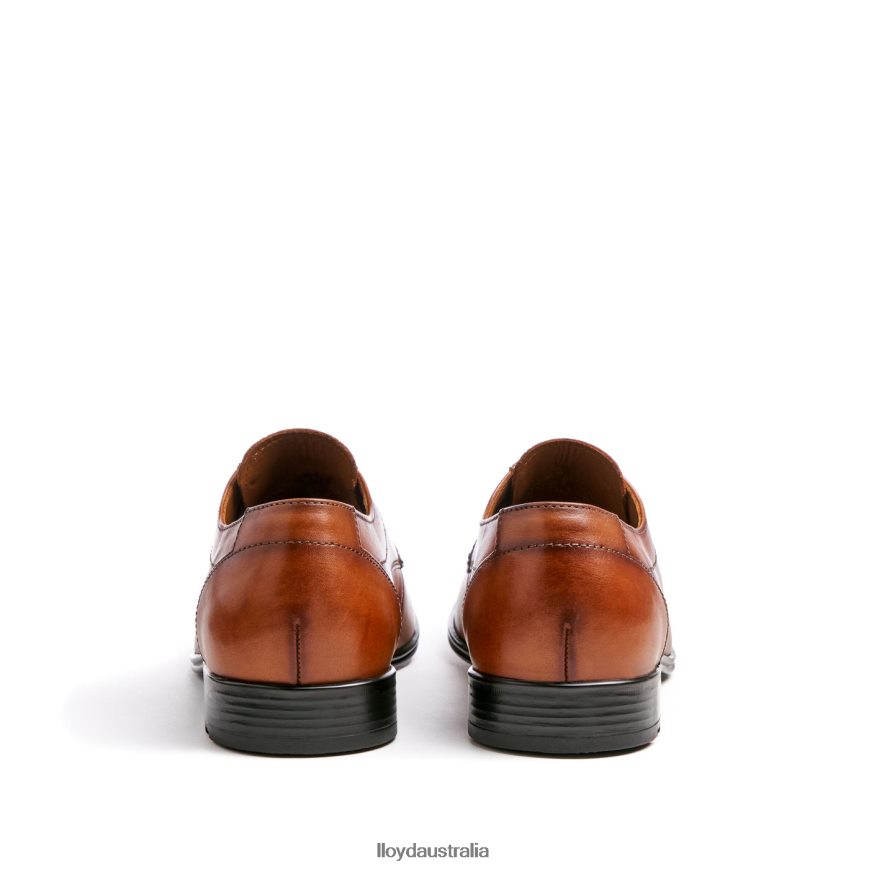 LLOYD Men OSMOND brown Shoes H6PTLF84