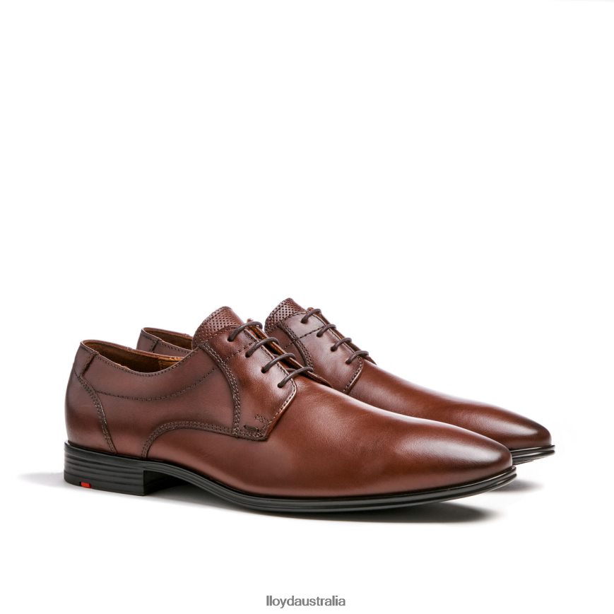 LLOYD Men OSMOND brown Shoes H6PTLF85