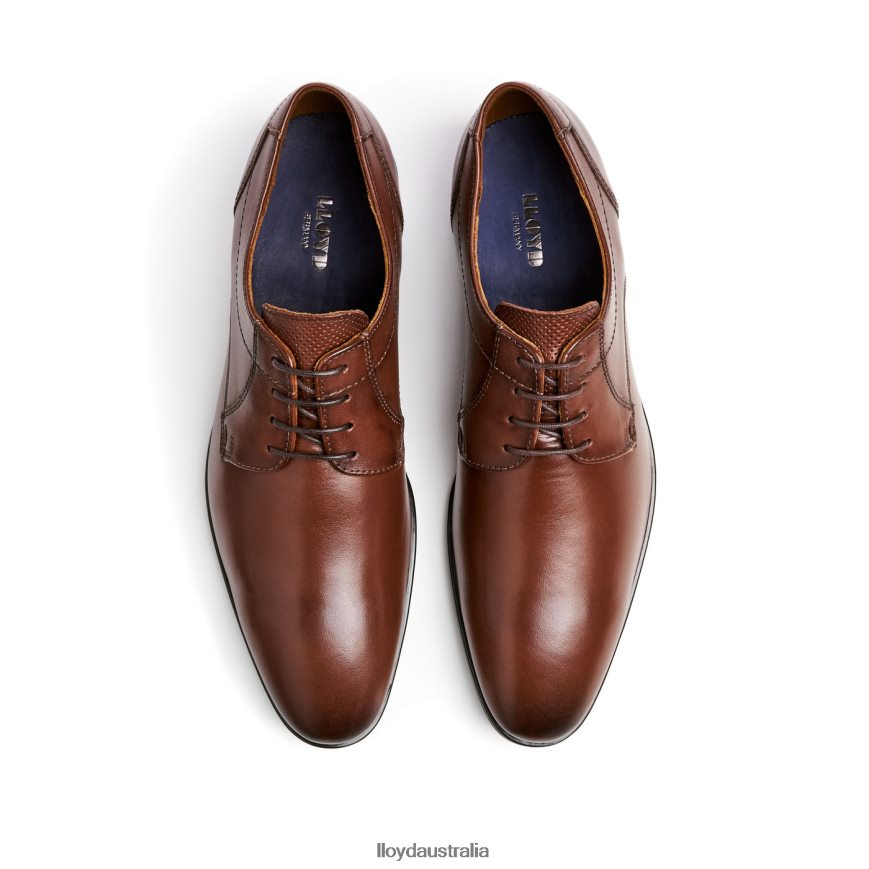 LLOYD Men OSMOND brown Shoes H6PTLF85