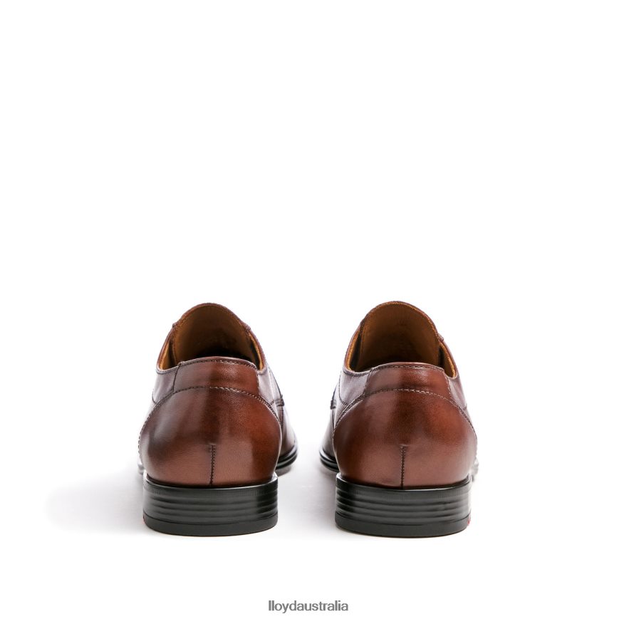 LLOYD Men OSMOND brown Shoes H6PTLF85