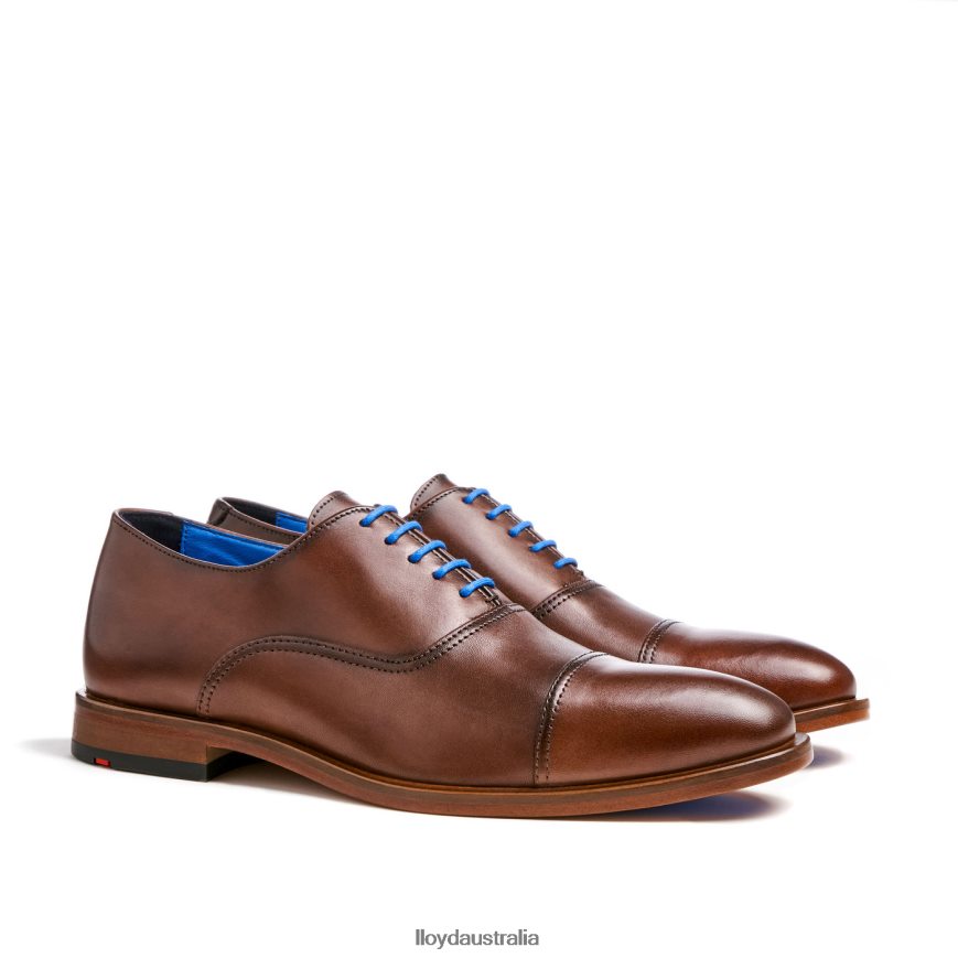 LLOYD Men ROB brown Shoes H6PTLF130