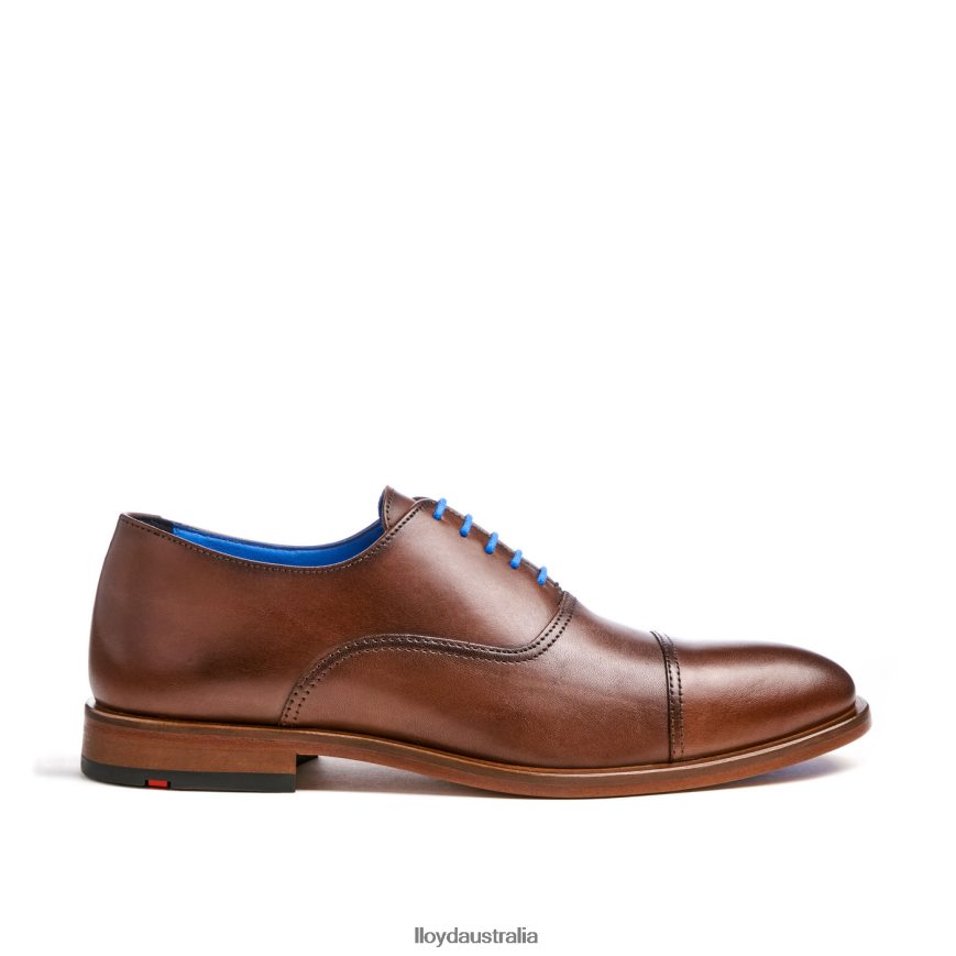 LLOYD Men ROB brown Shoes H6PTLF130