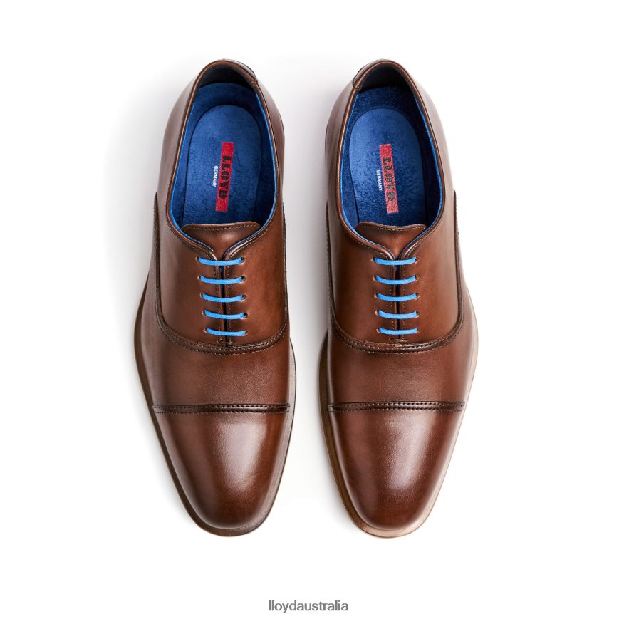 LLOYD Men ROB brown Shoes H6PTLF130