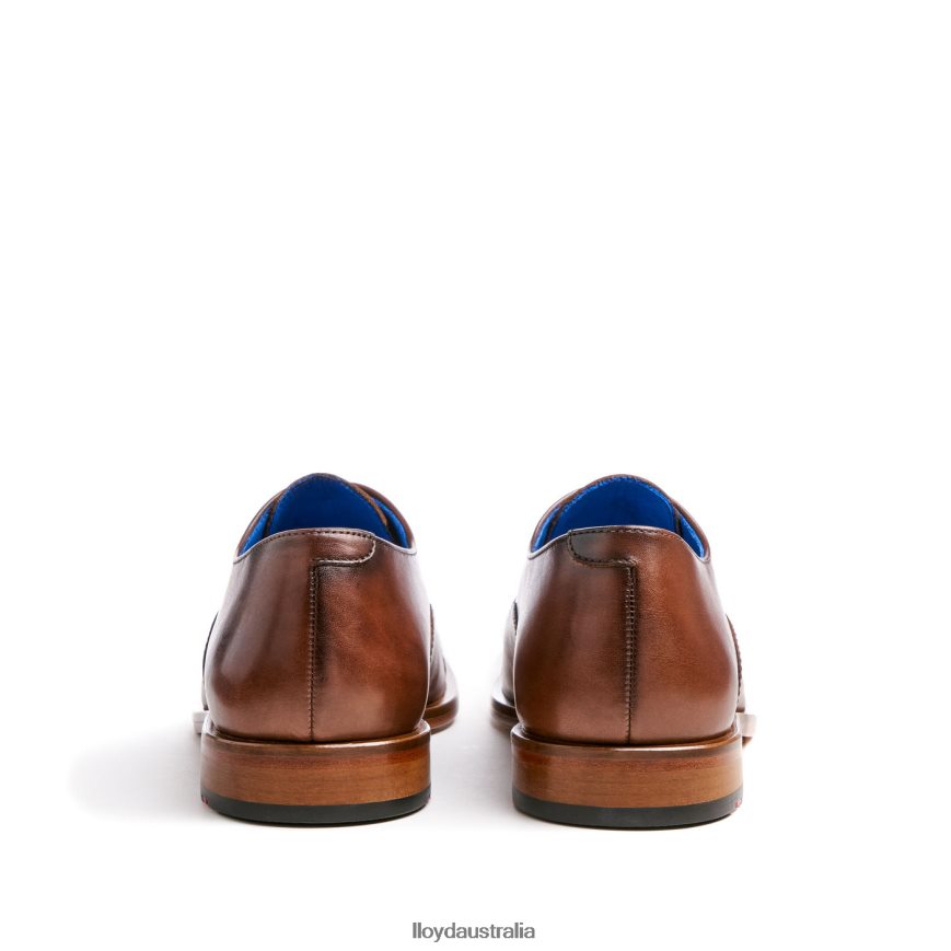 LLOYD Men ROB brown Shoes H6PTLF130