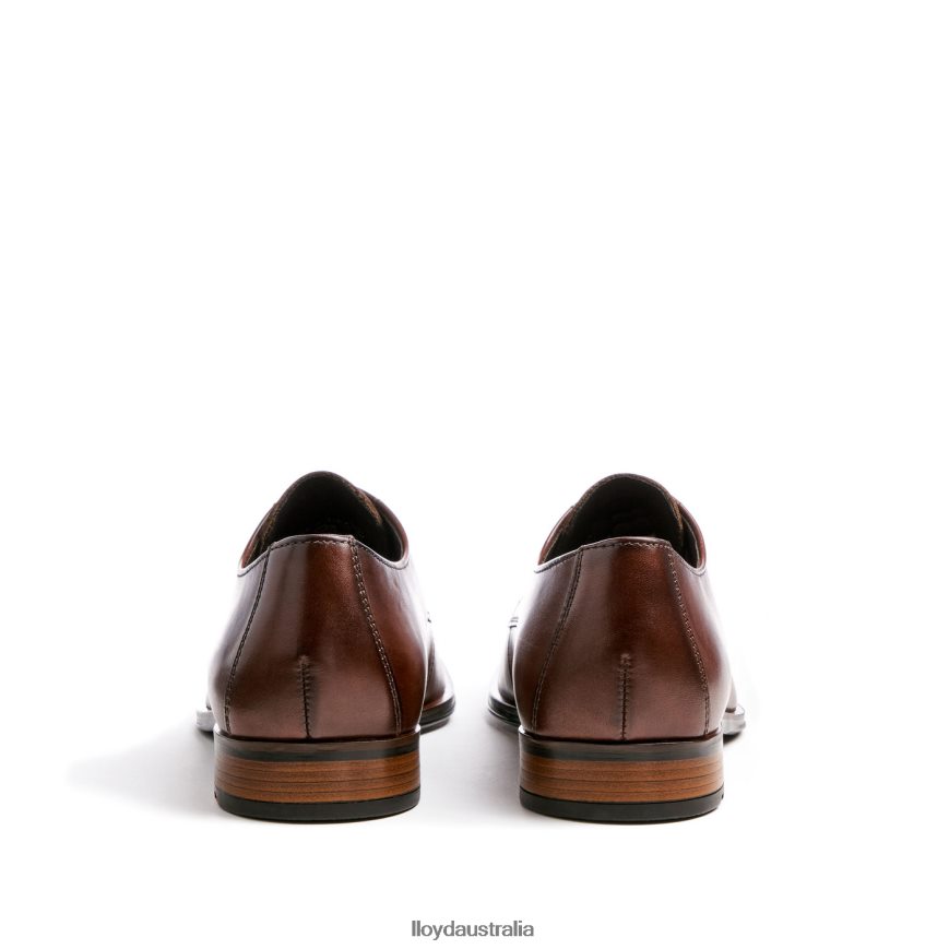LLOYD Men SABRE brown Shoes H6PTLF2