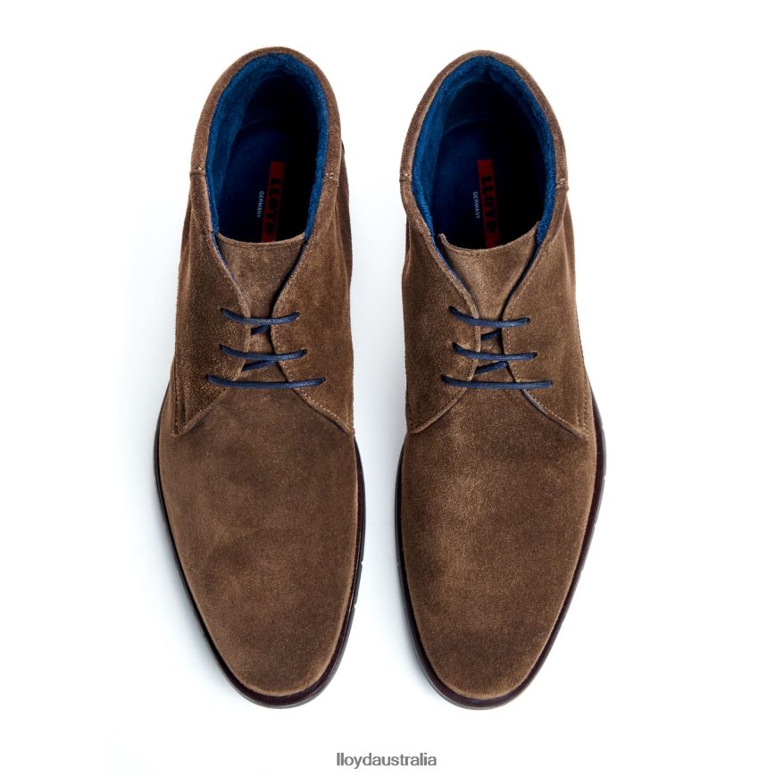 LLOYD Men TAMAR brown Shoes H6PTLF49