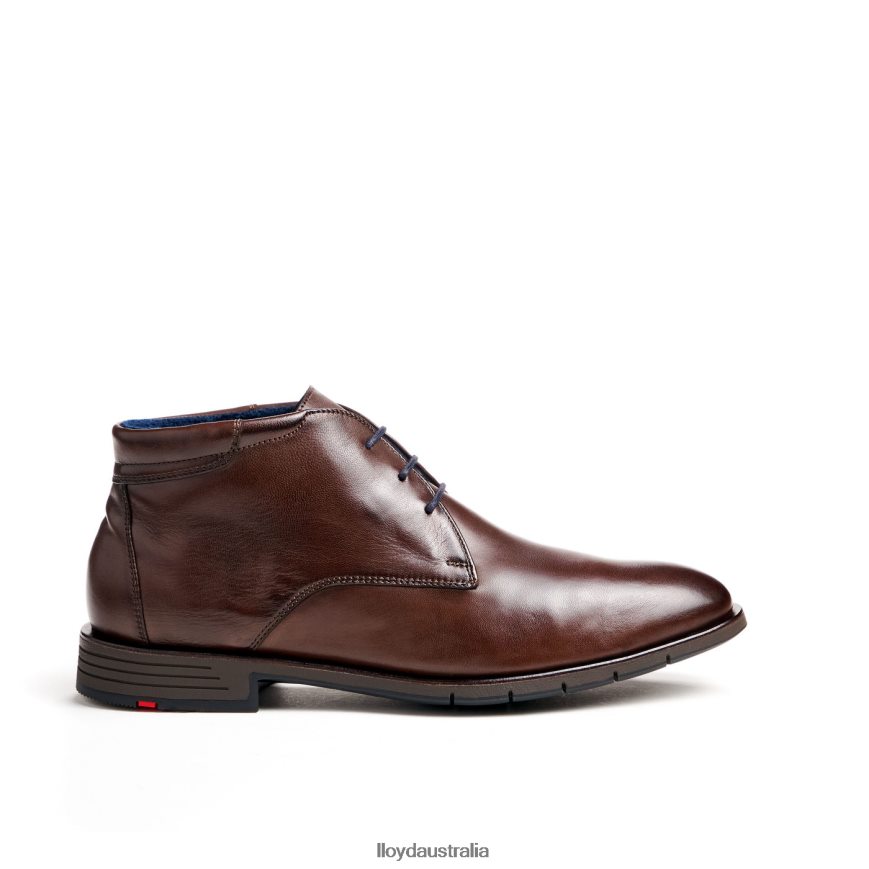 LLOYD Men TAMAR brown Shoes H6PTLF55