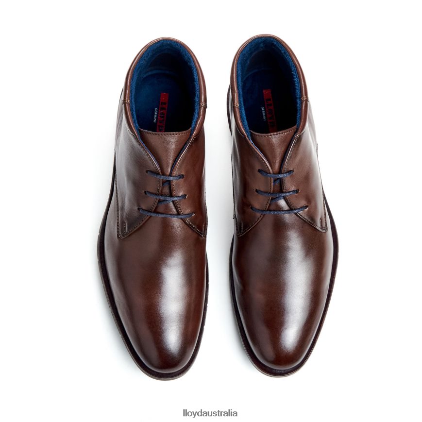 LLOYD Men TAMAR brown Shoes H6PTLF55