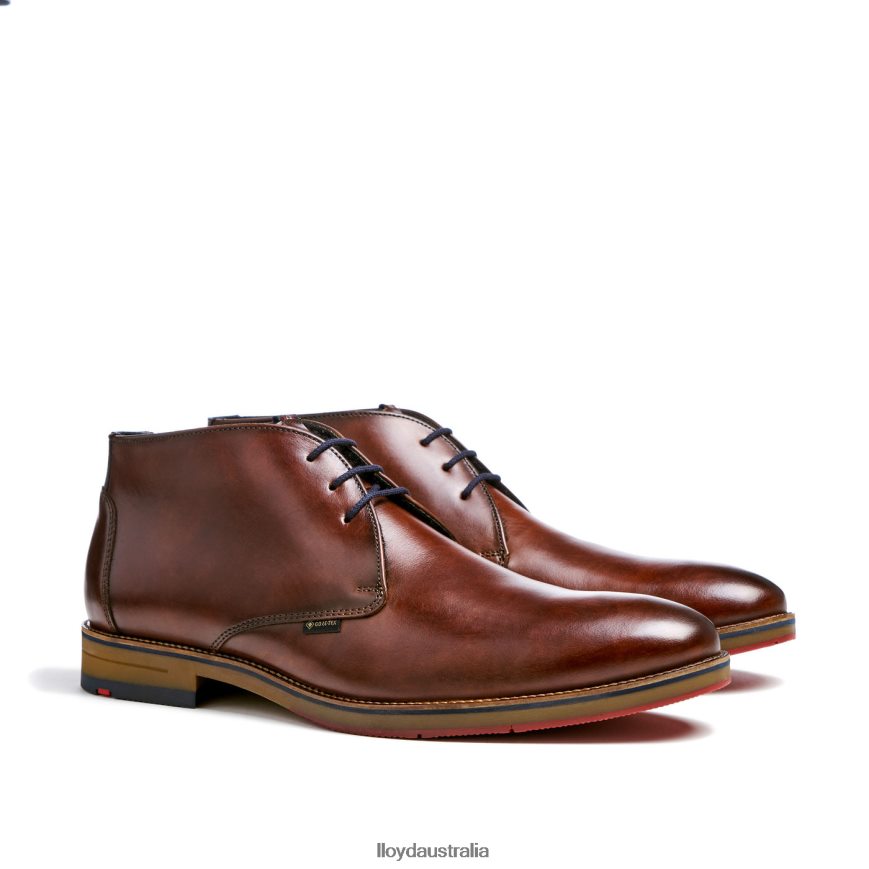 LLOYD Men VERDON brown Shoes H6PTLF138