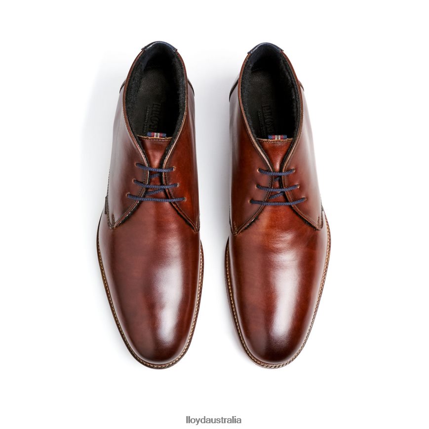 LLOYD Men VERDON brown Shoes H6PTLF138