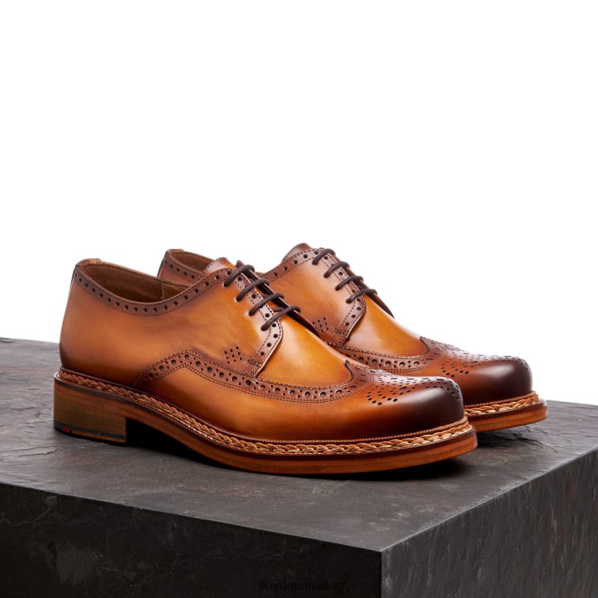 LLOYD Men WOTAN brown Shoes H6PTLF163