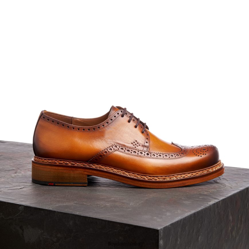 LLOYD Men WOTAN brown Shoes H6PTLF163