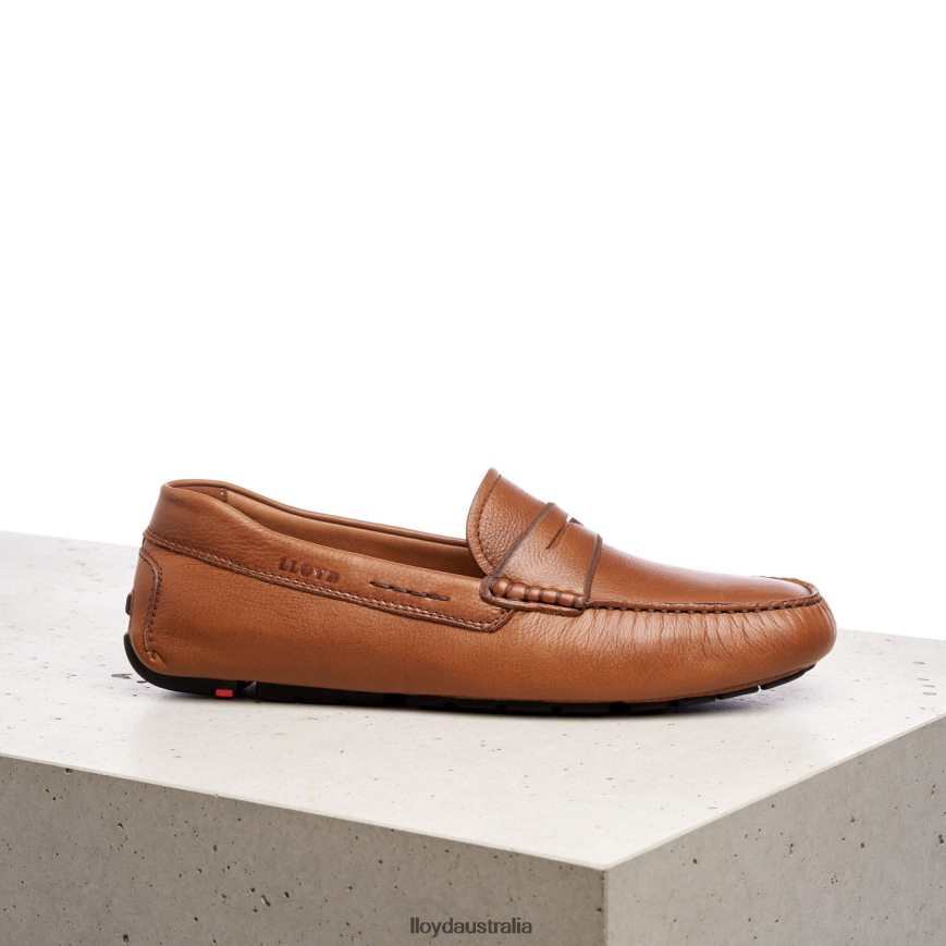 LLOYD Men EMMO brown Shoes H6PTLF610