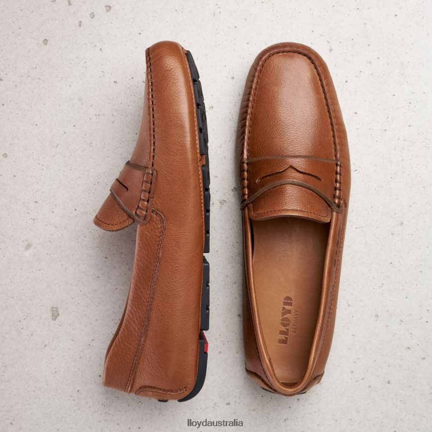 LLOYD Men EMMO brown Shoes H6PTLF610