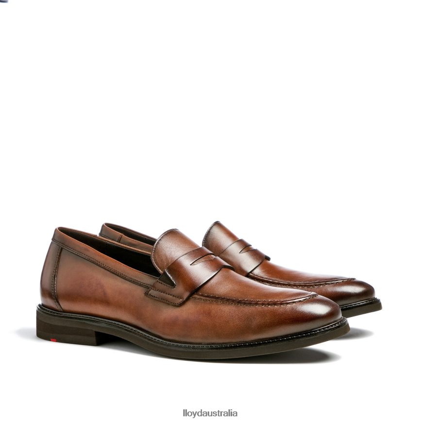 LLOYD Men REYNOLD brown Shoes H6PTLF56