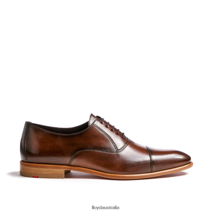 LLOYD Men PARCAS brown Shoes H6PTLF156