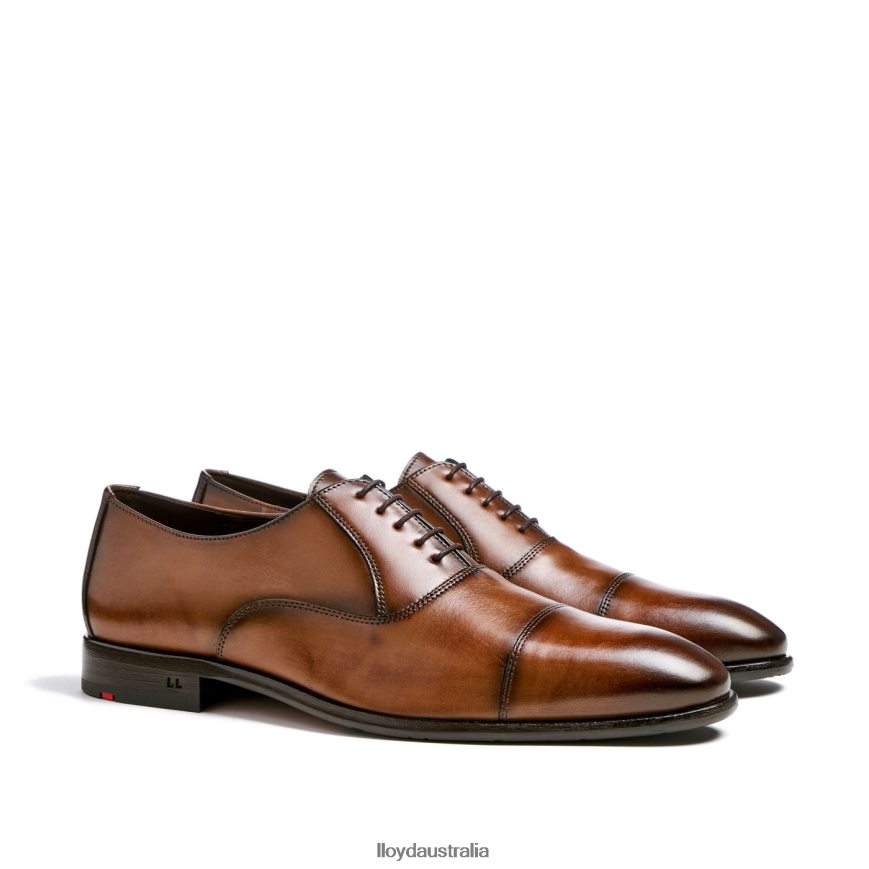 LLOYD Men POOL brown Shoes H6PTLF1