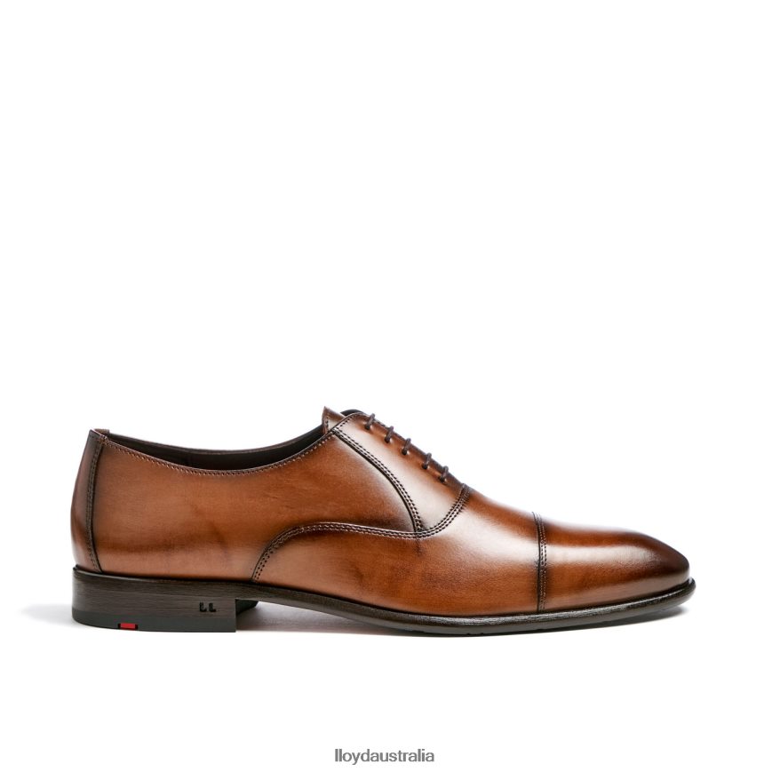 LLOYD Men POOL brown Shoes H6PTLF1