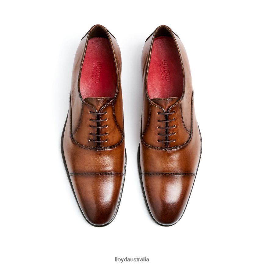 LLOYD Men POOL brown Shoes H6PTLF1