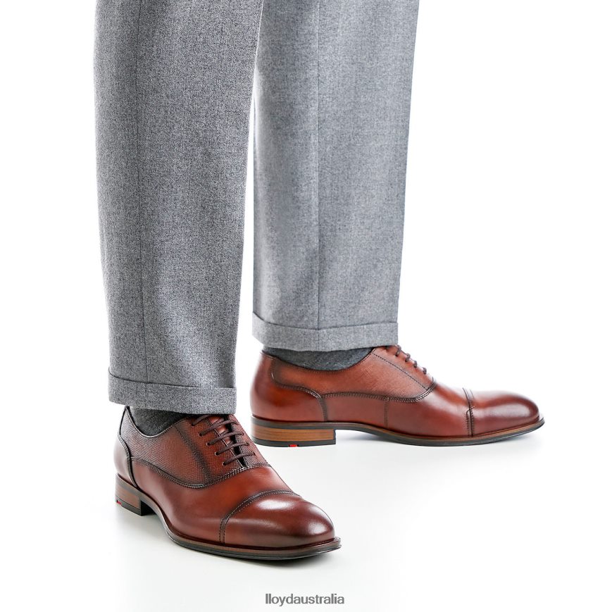 LLOYD Men SANTIAGO brown Shoes H6PTLF238