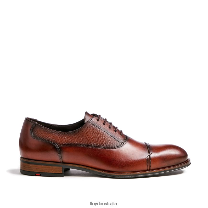 LLOYD Men SANTIAGO brown Shoes H6PTLF238