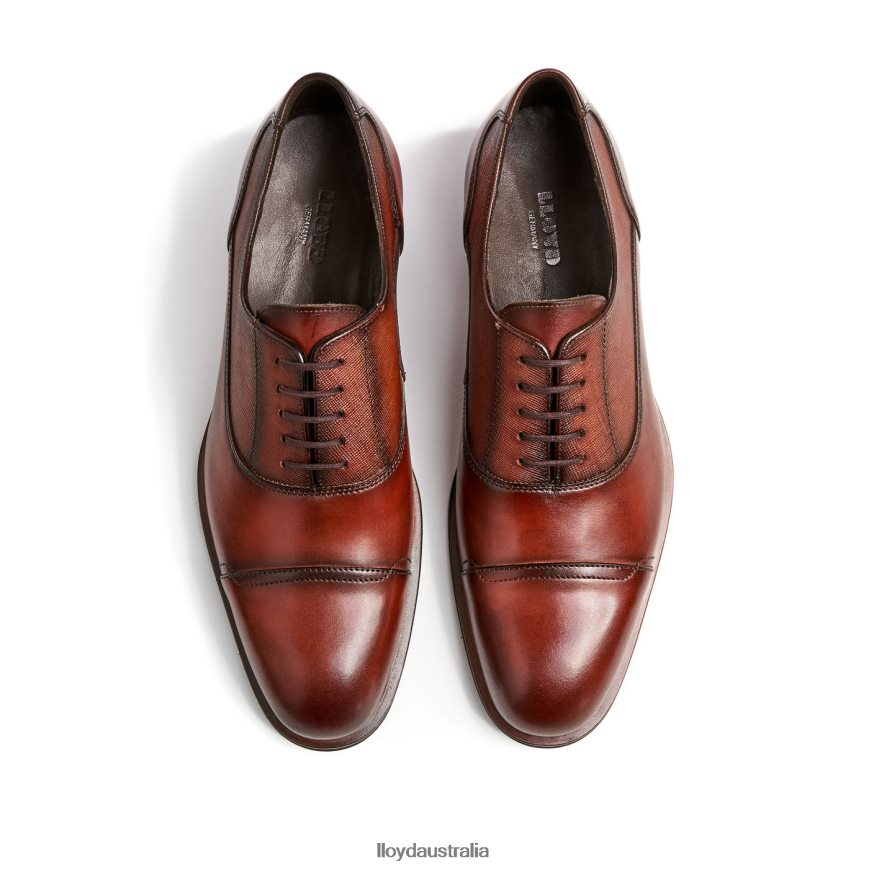 LLOYD Men SANTIAGO brown Shoes H6PTLF238